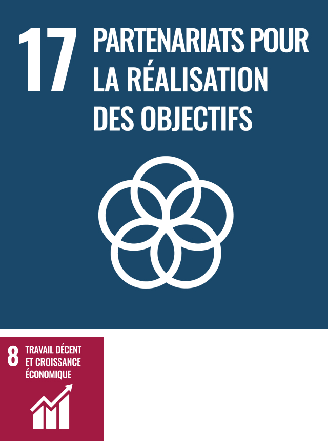 Logos numéro 17 et 8 des objectifs de développement durable  